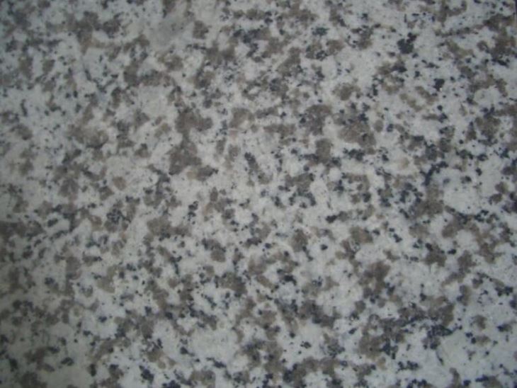 China Big White Flowers Light Gray G439 Granite Tiles