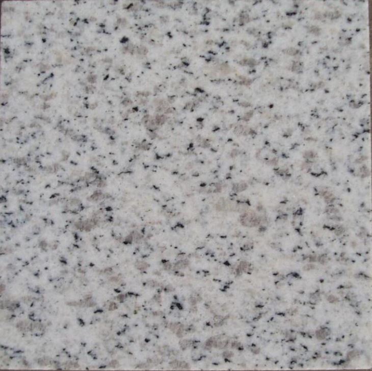 Shandong Seasome White Color G365 White Sparkle Granite Floor Tiles White Kitchen Countertops