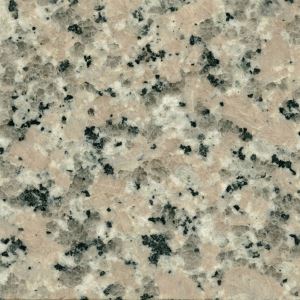 Pink Colors Granite Tile Xili Red Granite Big Slab Polished