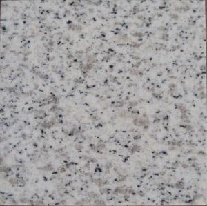 Shandong Seasome White Color G365 White Sparkle Granite Floor Tiles White Kitchen Countertops